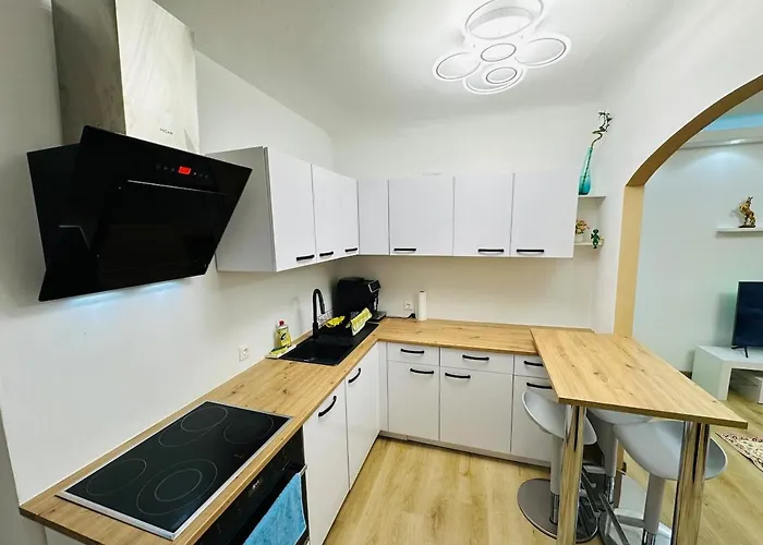 Luxury Vienna Airport Free Parking Apartman Schwechat