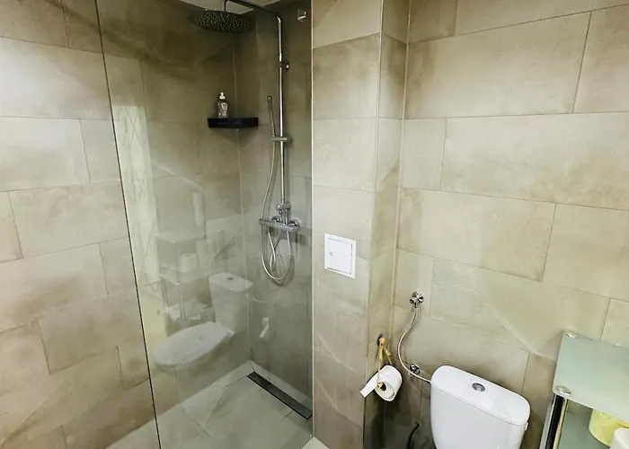 Luxury Vienna Airport Free Parking *